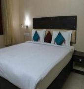 Ram Singh Palace Hotel 2*