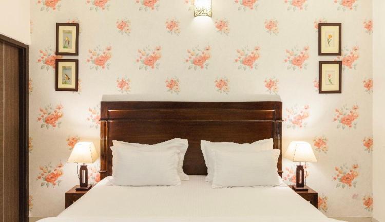 Bed & Breakfast White Tulips 5*