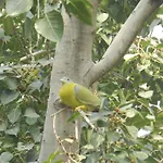 Hotel Jai Niwas