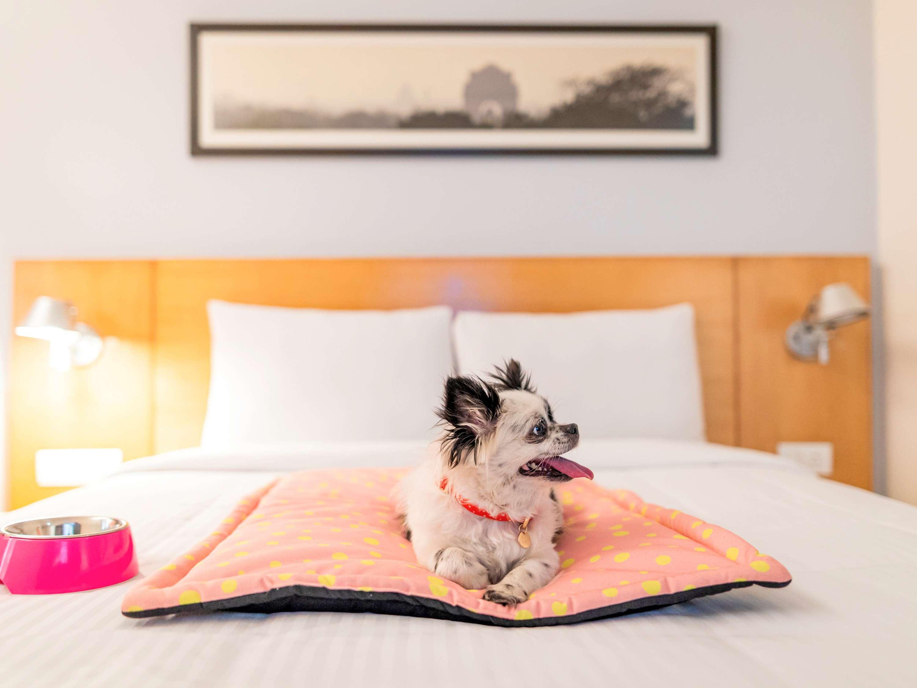 Hotel Ibis Centre - An Accor Brand Jaipur