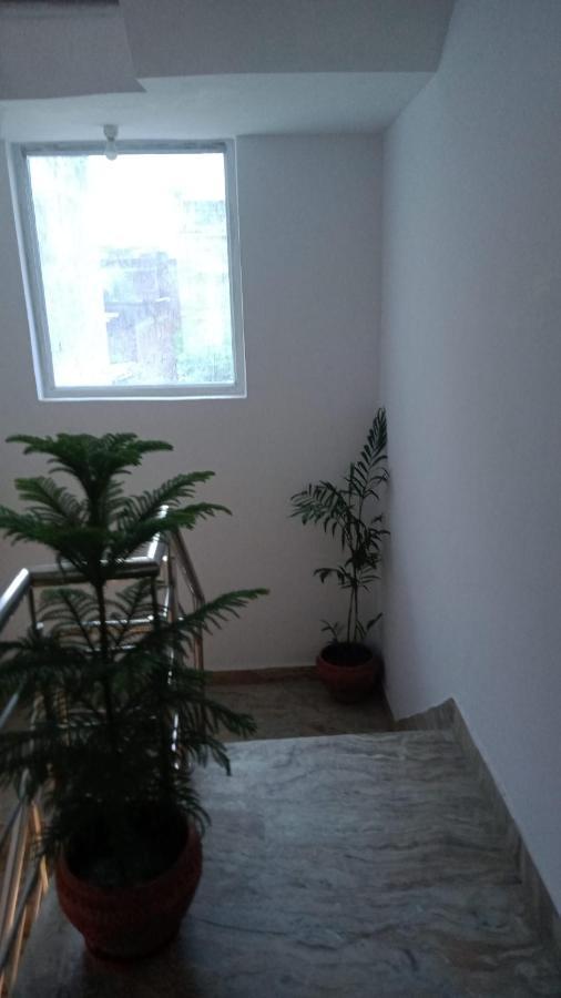 Cocoon Guest house