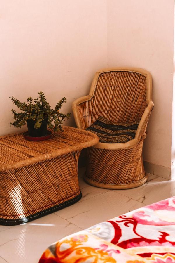 Cocoon Guest house Jaipur