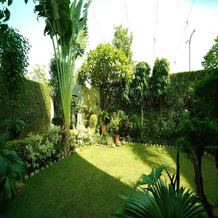 The Omaira 3* Jaipur