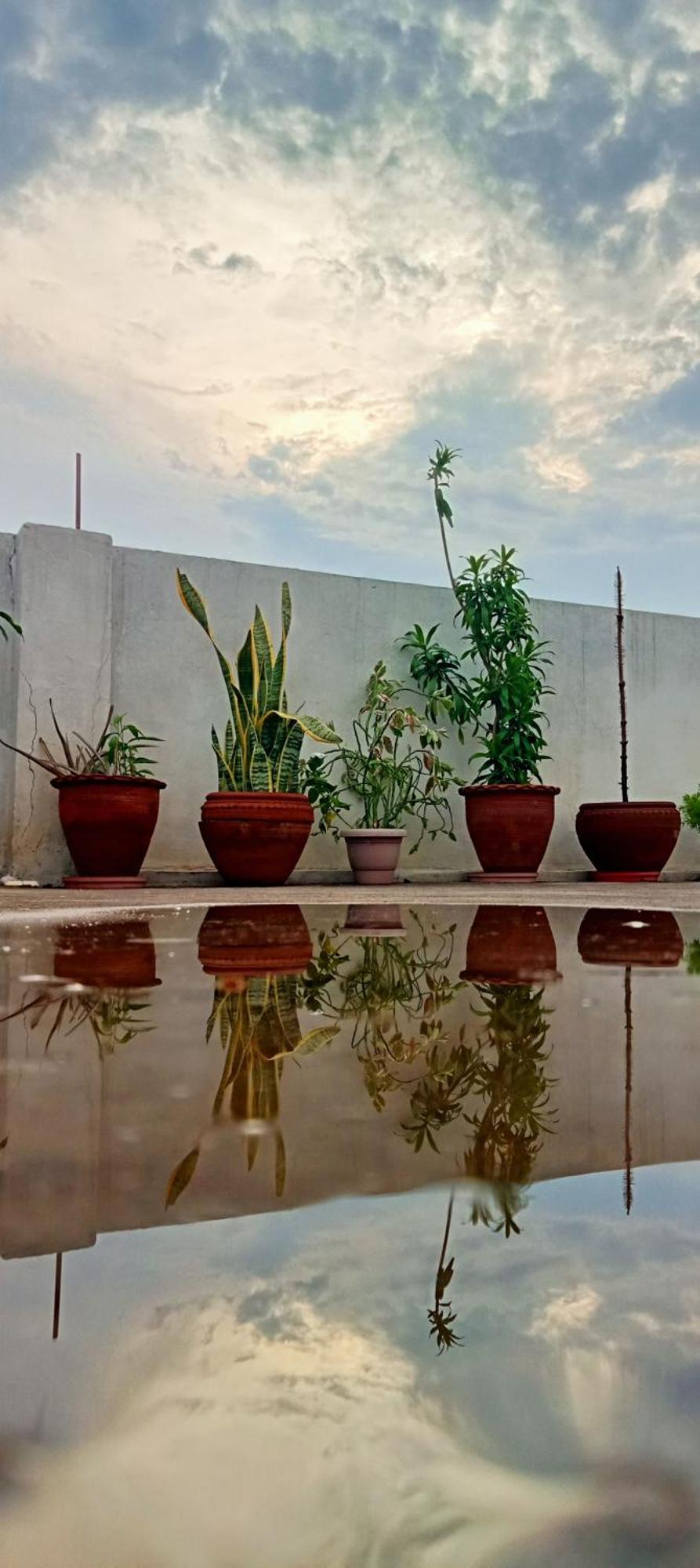 Guest house Cocoon *