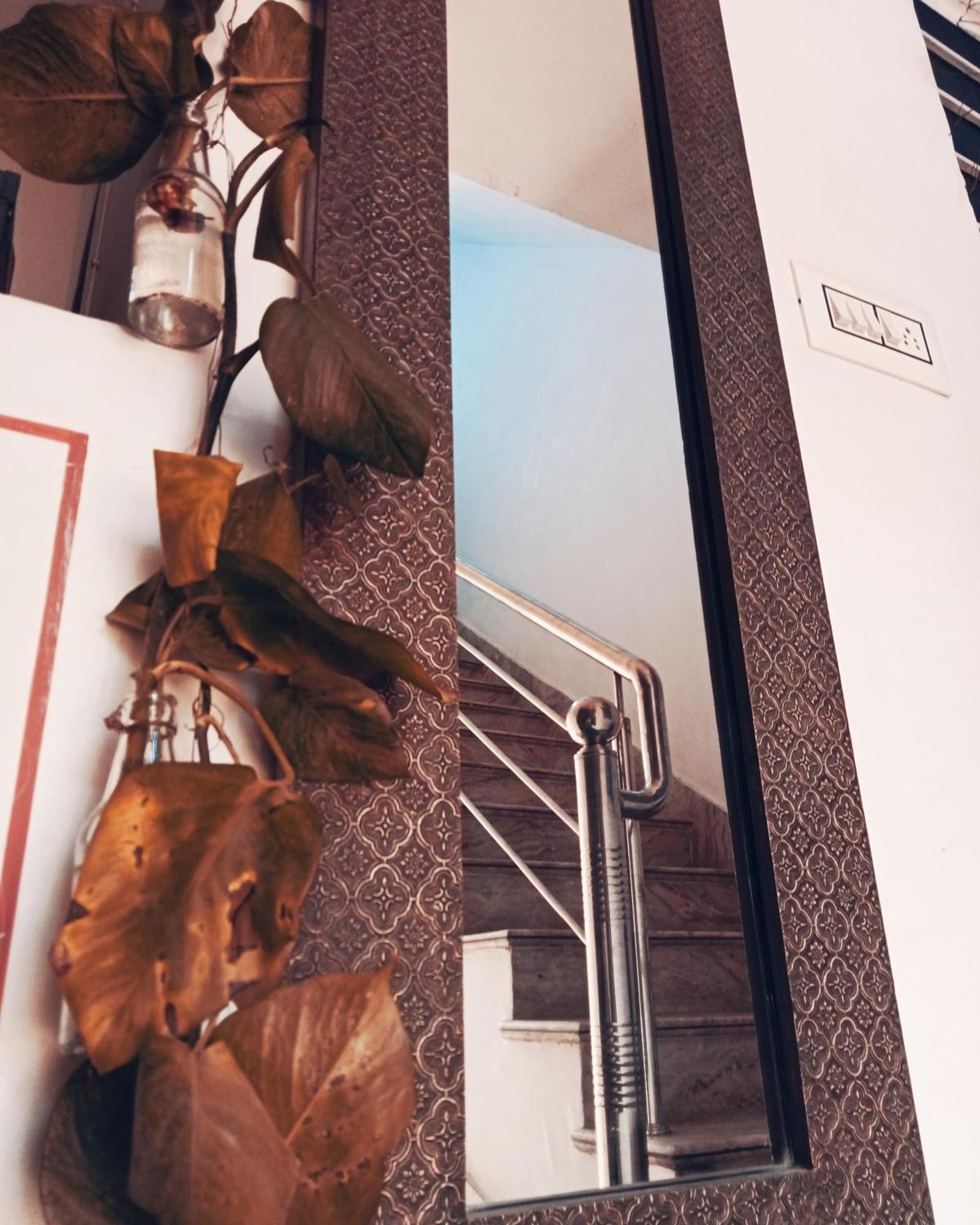 Guest house Cocoon *