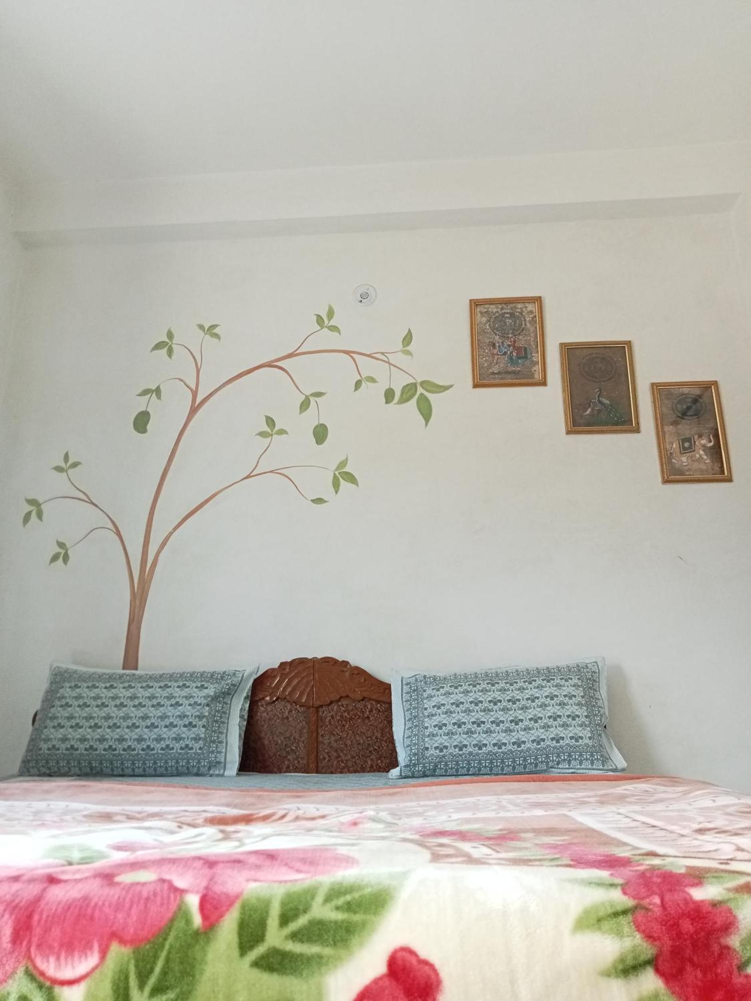 Cocoon Guest house Jaipur