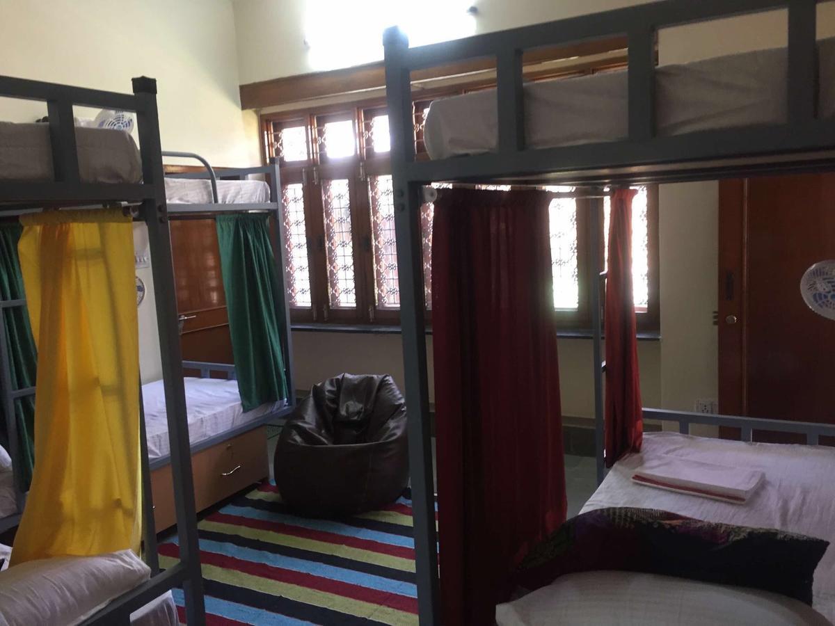 Doodle Rack Jaipur