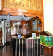 Mangal Hotel